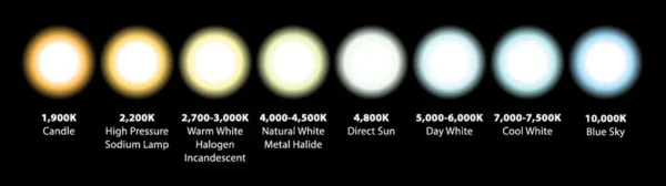 Lâmpada de Led Magnética - Imagem 14