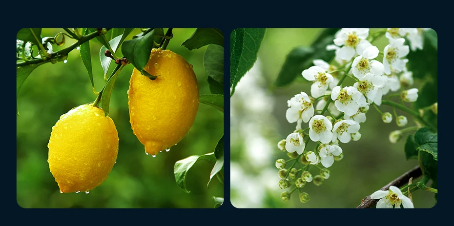 Aromatizante Automotivo Difusor Longa Duração - Imagem 16