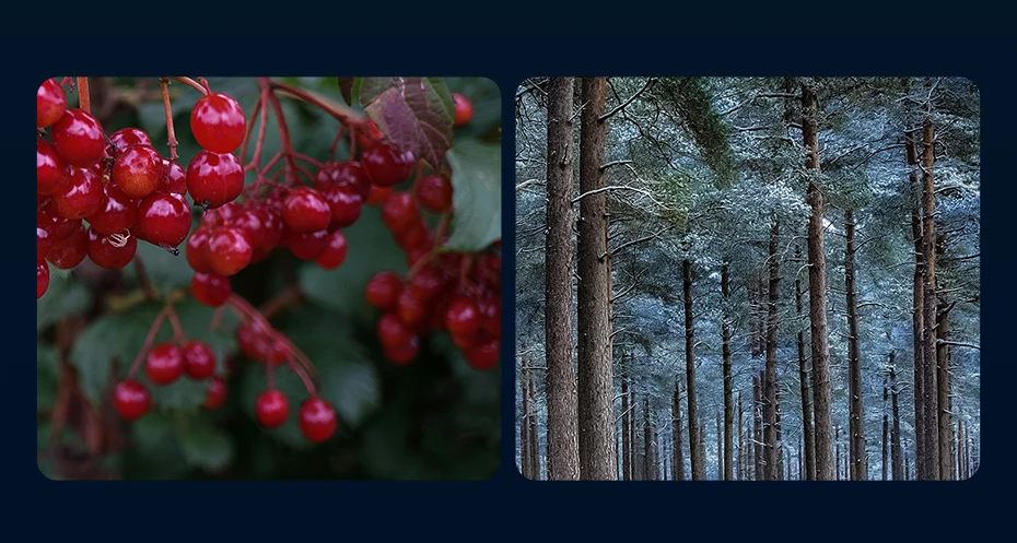 Aromatizante Automotivo Difusor Longa Duração - Imagem 15