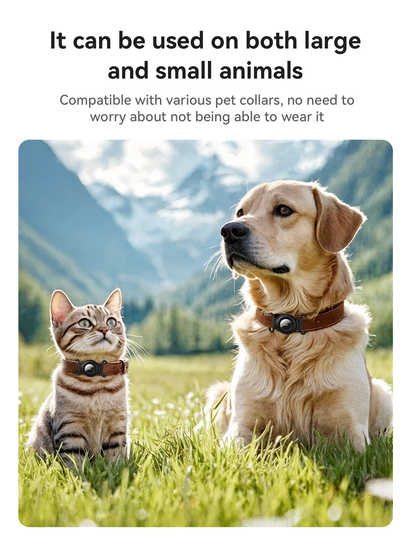 HOCO E91C Smart Pet Tracker com Apple Find My - Imagem 9