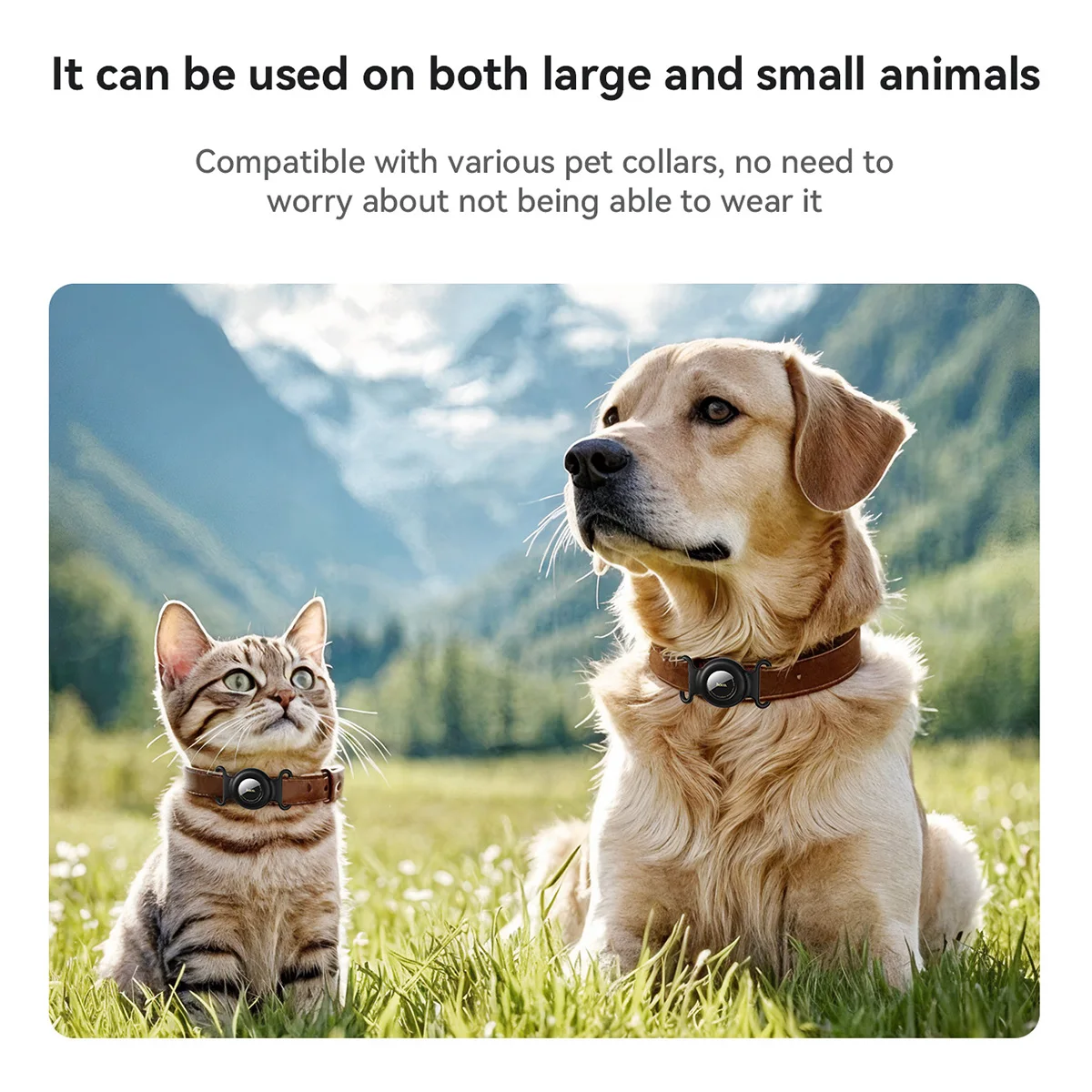 HOCO E91C Smart Pet Tracker com Apple Find My - Imagem 4
